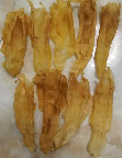 现在吃中药多久后能吃鱼胶(冬虫夏草海马鱼胶三种能一起炖汤？)